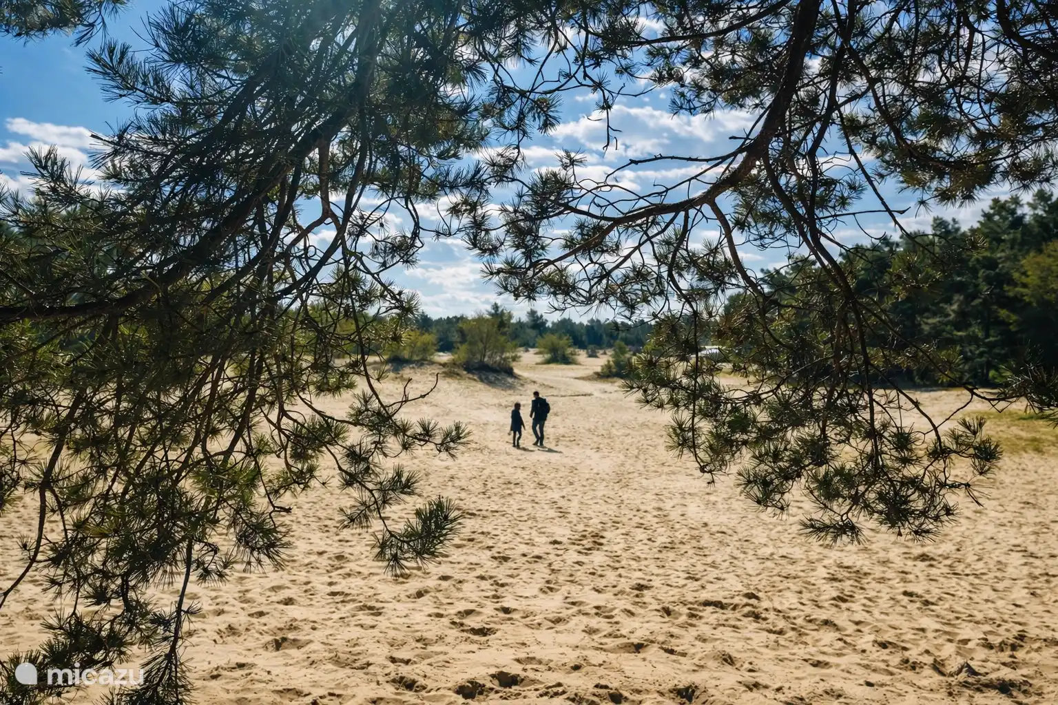 Geneietn van de natuur in de omgeving!