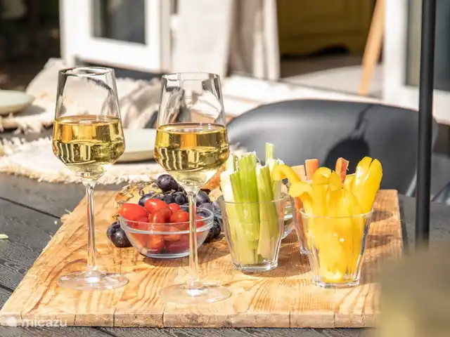 Stayatsas Tiny House Julia Veluwe!! huren in Nederland, Gelderland, Epe - tiny house Borrel op terras!