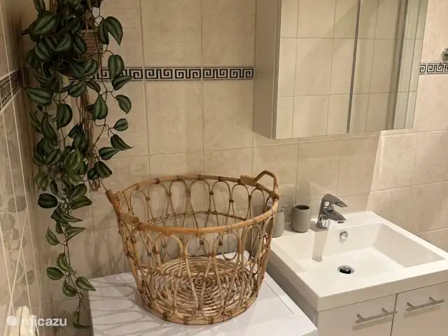 Stayatsas Tiny House Julia Veluwe!! huren in Nederland, Gelderland, Epe - tiny house in de badkamer staat een splinternieuwe wasmachine met ernaast een droogrek