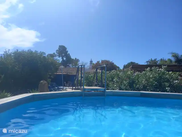 Maison des Arts | Portugal, Algarve, Moncarapacho - maison de vacances Une piscine spacieuse pour les invités avec une belle terrasse avec un grand espace barbecue, une méga table et de beaux sièges de salon