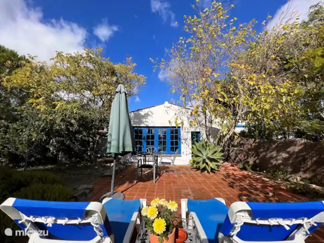 Maison des Arts | Portugal, Algarve, Moncarapacho - maison de vacances La terrasse privée de la Casa de Arte