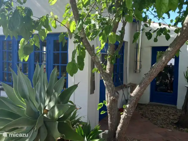 Maison des Arts | Portugal, Algarve, Moncarapacho - maison de vacances