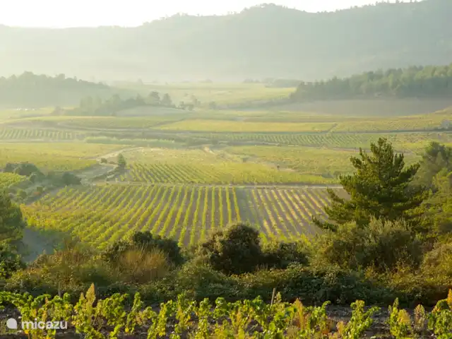 Tréville | France, Hérault, Saint-Chinian - villa belles vues sur les vignes
