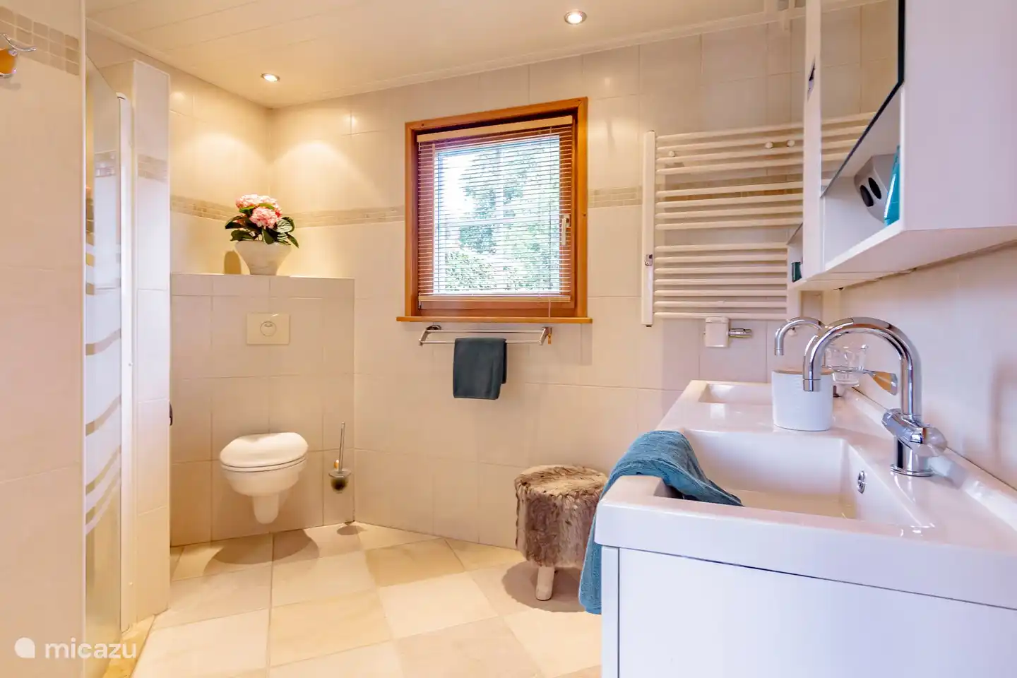 La salle de bain au rez-de-chaussée avec un WC et la douche.