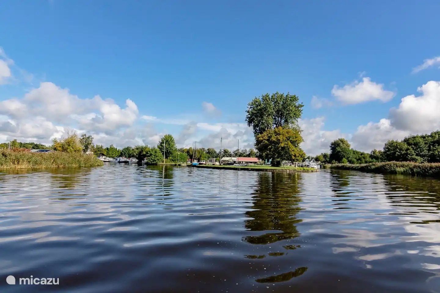 Le Zuidlaardermeer avec l'homme barbu • s • Goosander • Barge à queue noire • Iisvogel • Ruff • Chouette effraie • Petite poule d'eau • Plus petite poule d'eau • Coucou • Héron garde-boeuf • Bihoreau • Caille • Spatule • Nonnes • Perdrix • Poule tachetée • Héron pourpre et Rans