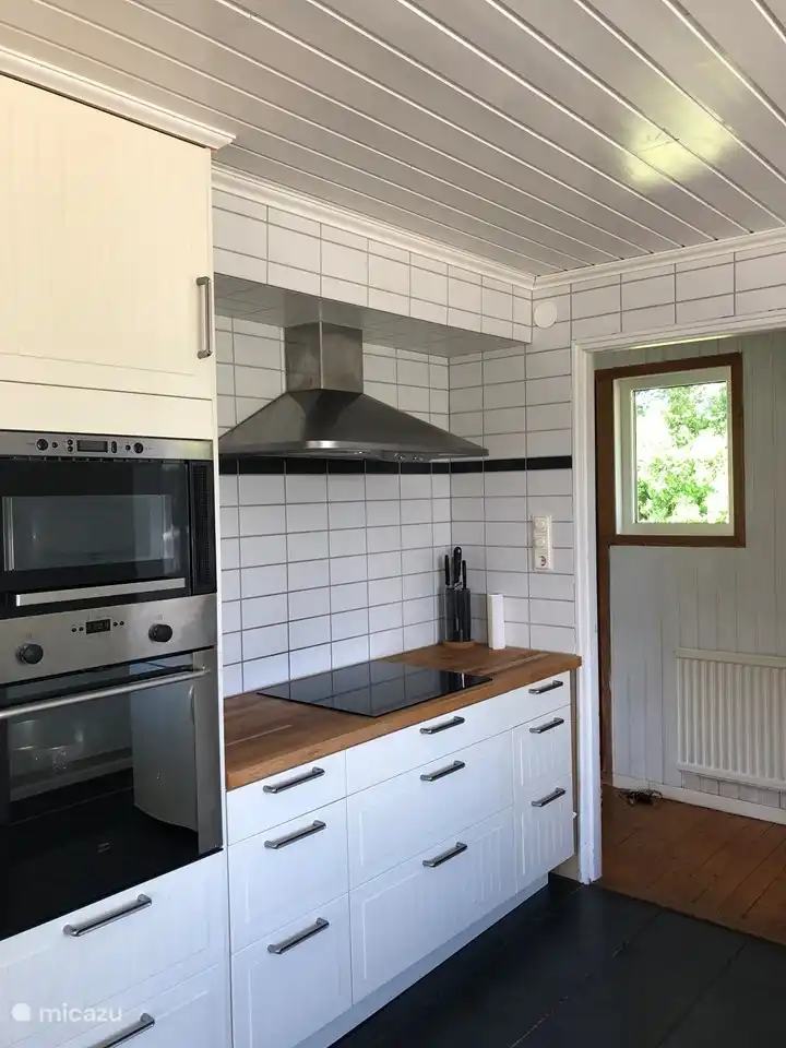 Placa de inducción, microondas y horno