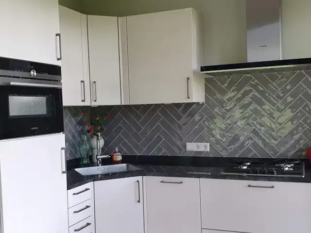Vue sur prairie | Pays-Bas, Overijssel, Ootmarsum - bungalow Cuisine spacieuse avec lave-vaisselle et four mixte