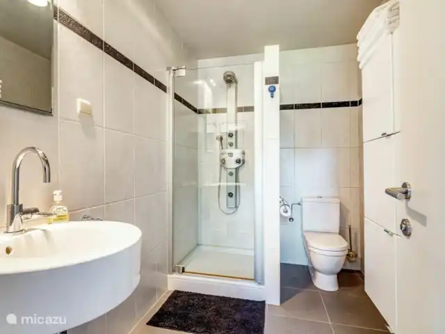 Villa Alterbiezen Höselt en Bélgica, Limburgo, Bilzen - casa vacacional Baño con ducha de masaje