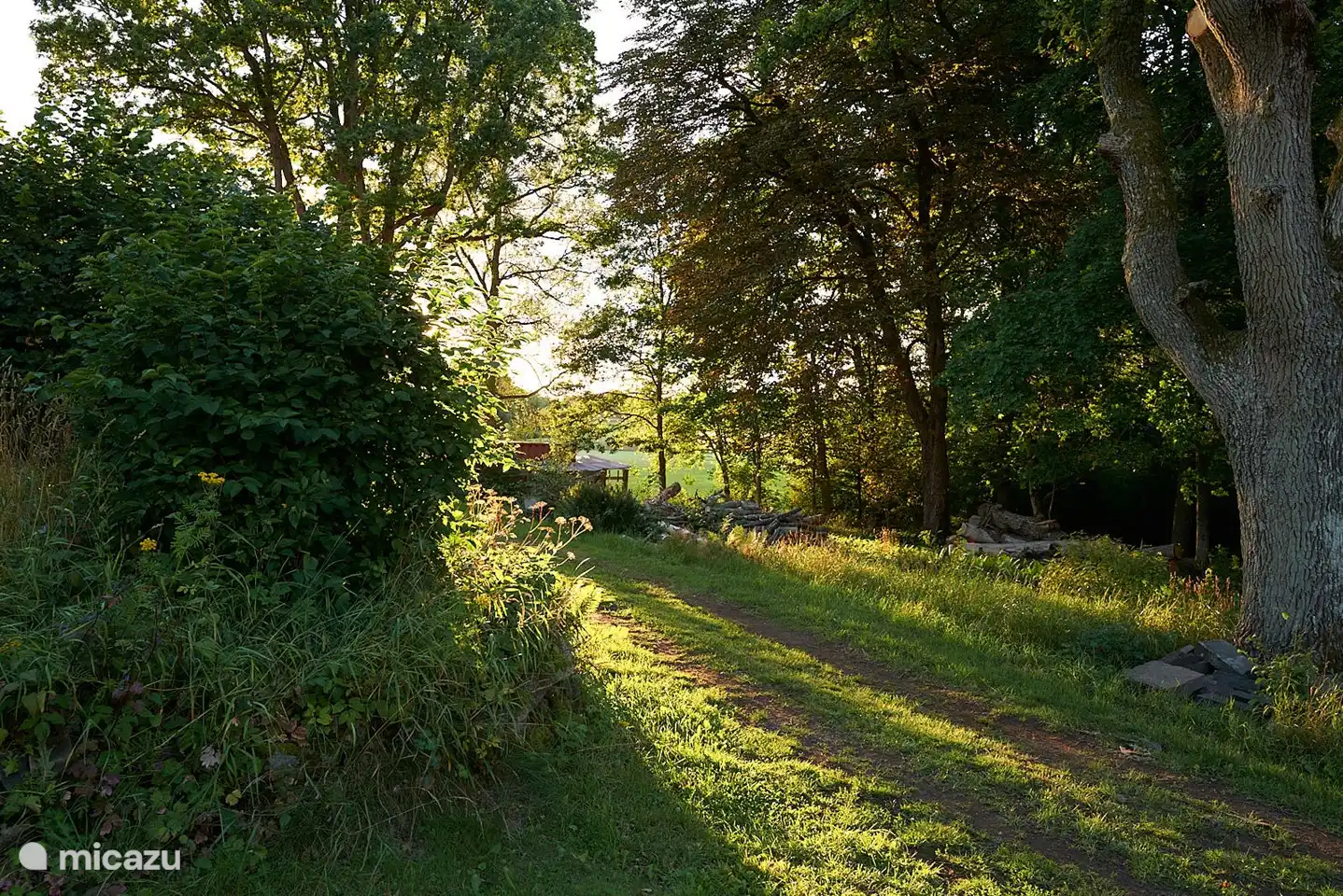The path to the canoes. You often see wild animals in the evening and early in the morning