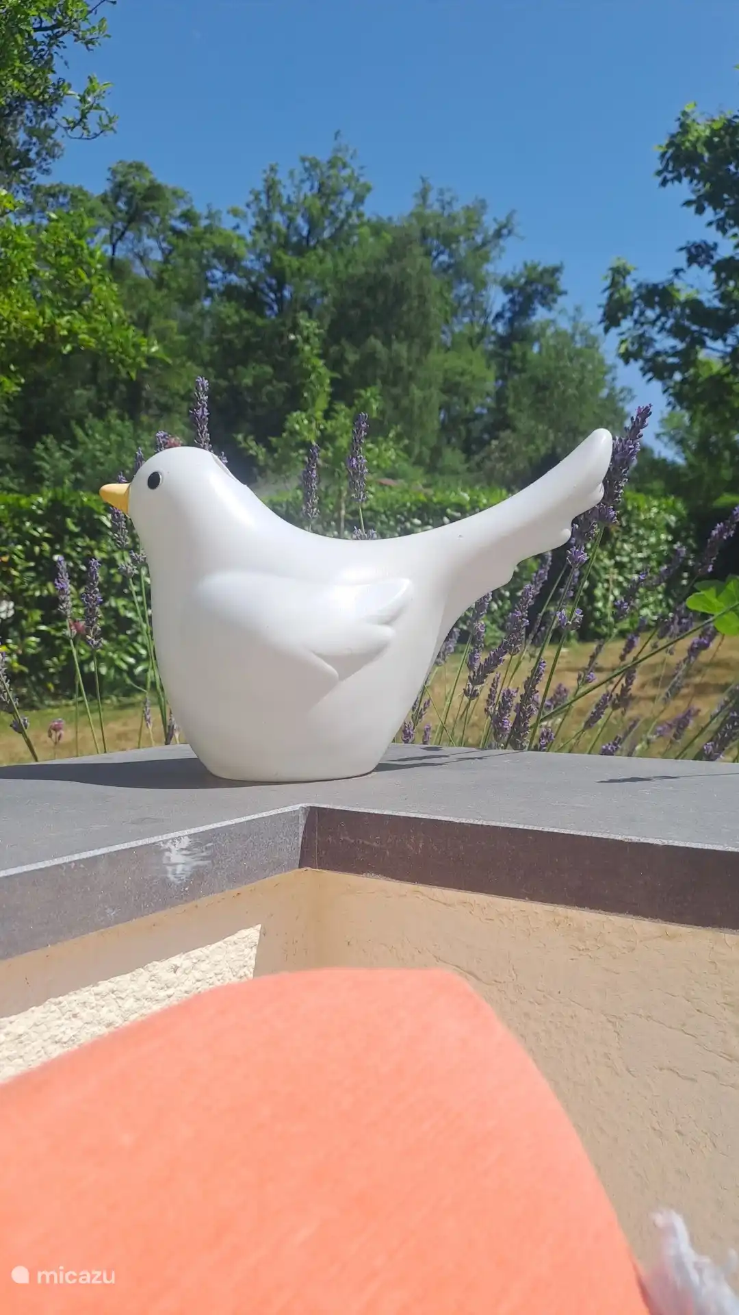 Lavendel lugt über der Wand hervor.