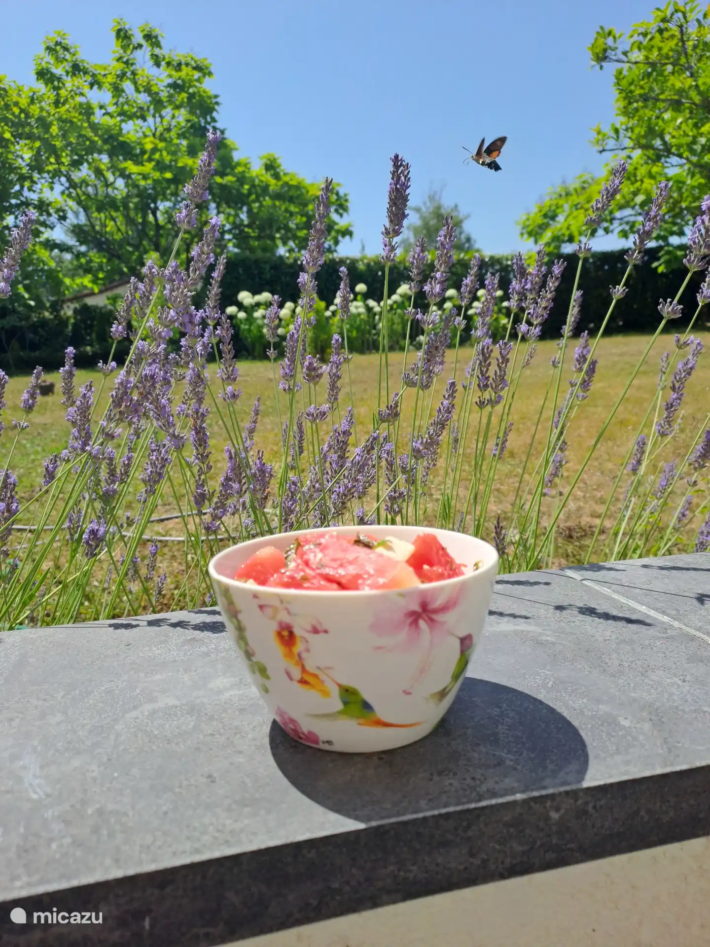 Wassermelone mit Feta und frischer Minze aus dem Garten