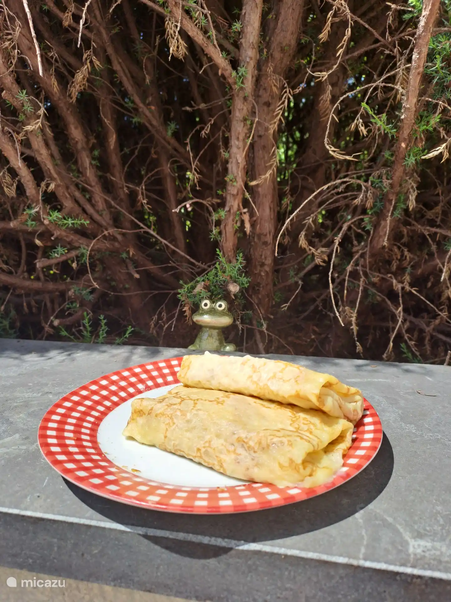 Frosch schaut sich die mit Käse und Schinken gefüllten Crèpes an.