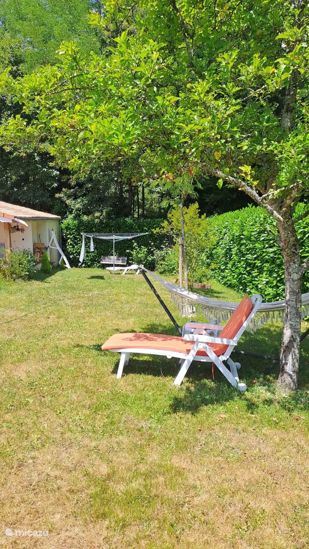 Faulenzen im Liegestuhl, Hängematte unter dem alten Apfelbaum