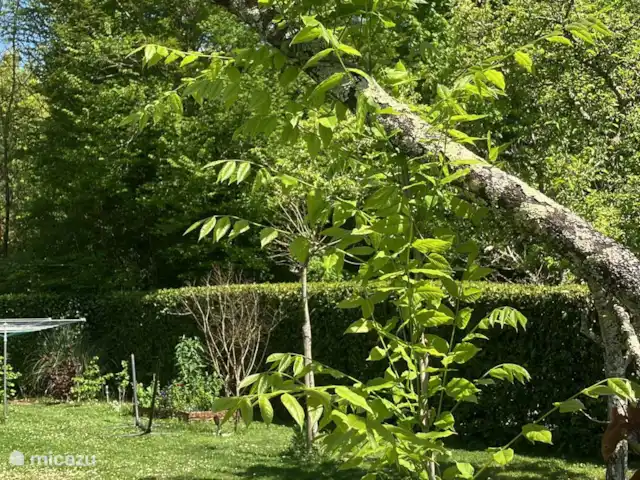 Accueil familial indépendant avec chien accepté | France, Charente, Écuras - maison de vacances Nouvelles plantations
