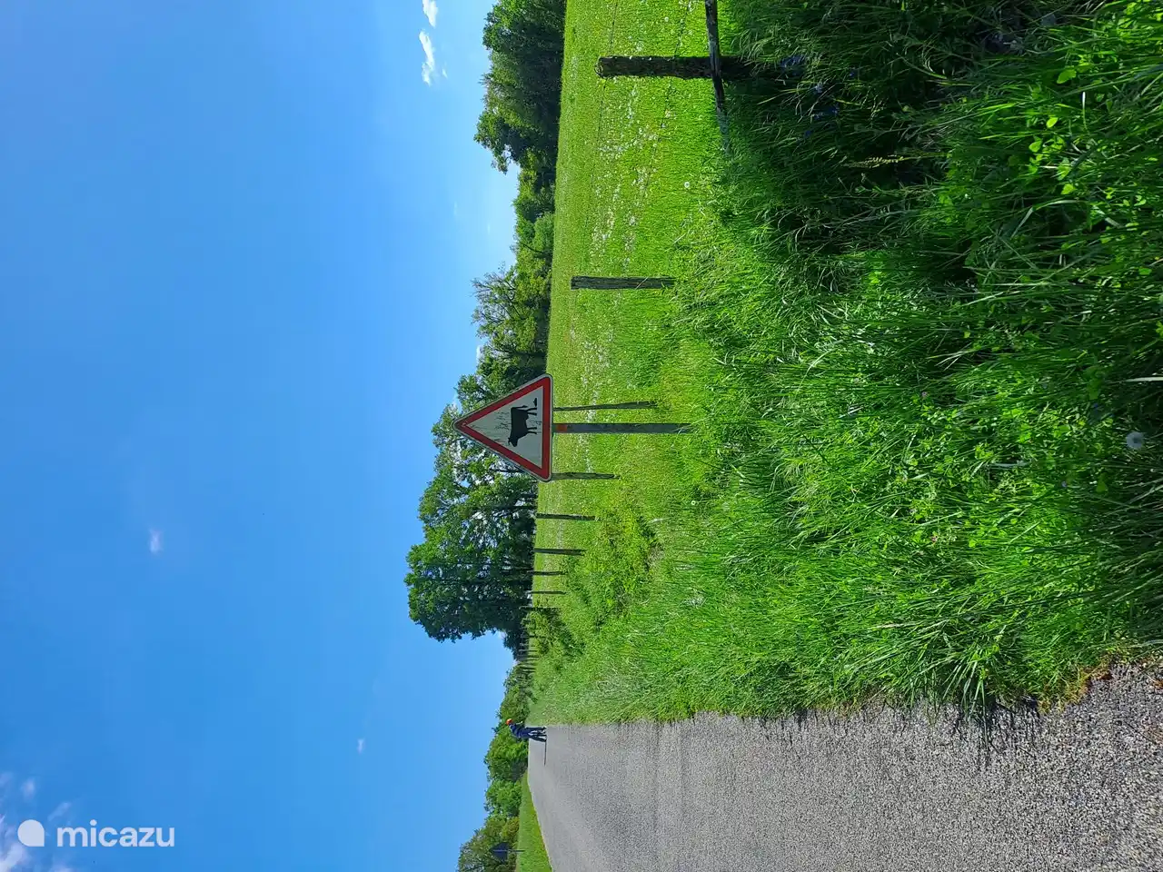 Platte Warnung Kuhkuchen