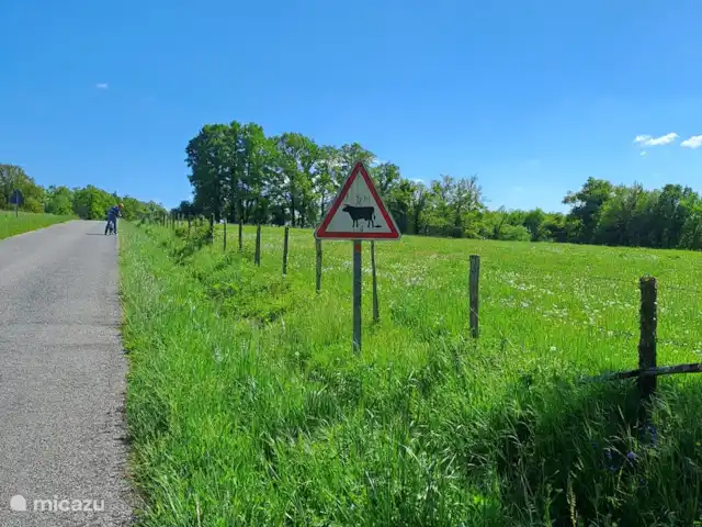 Accueil familial indépendant avec chien accepté | France, Charente, Écuras - maison de vacances plaque d'avertissement tarte à la vache