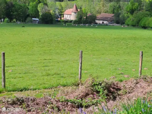 Accueil familial indépendant avec chien accepté | France, Charente, Écuras - maison de vacances ferme fortifiée avec moutons