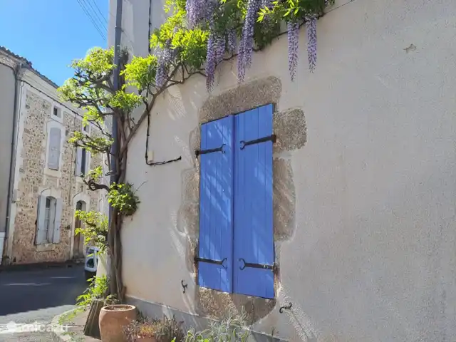 Accueil familial indépendant avec chien accepté | France, Charente, Écuras - maison de vacances pluie bleue