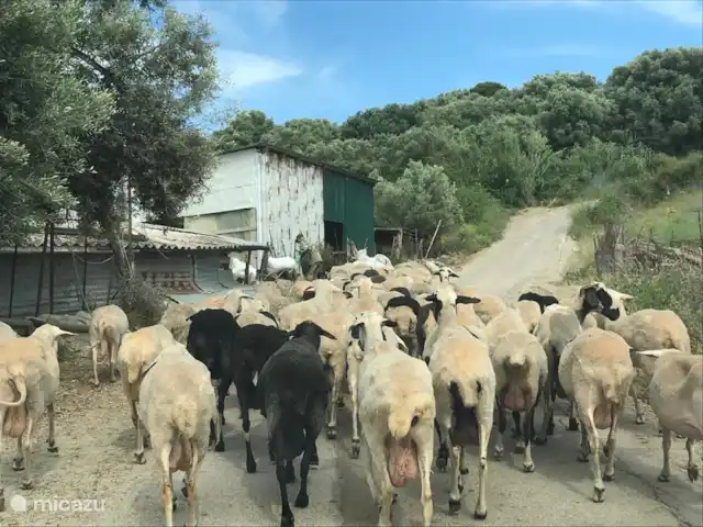 Villa Karma | Grèce, Grèce centrale, Paleros - villa Vue commune sur la route de Paleros :)