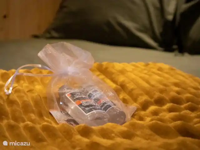 Casa de vacaciones Jipue en Países Bajos, Overijssel, Bruchterveld - casa vacacional Casa de vacaciones Jipue