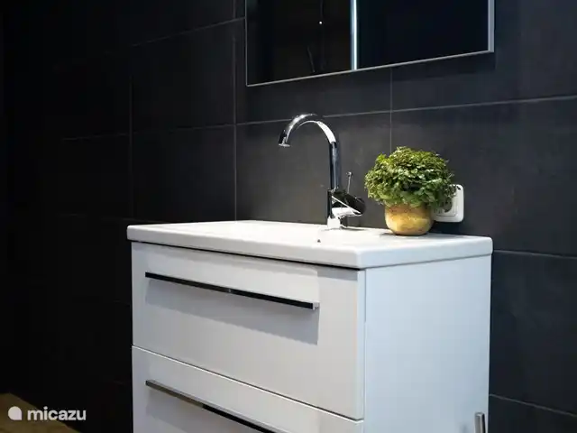 Casa de vacaciones Jipue en Países Bajos, Overijssel, Bruchterveld - casa vacacional Baño