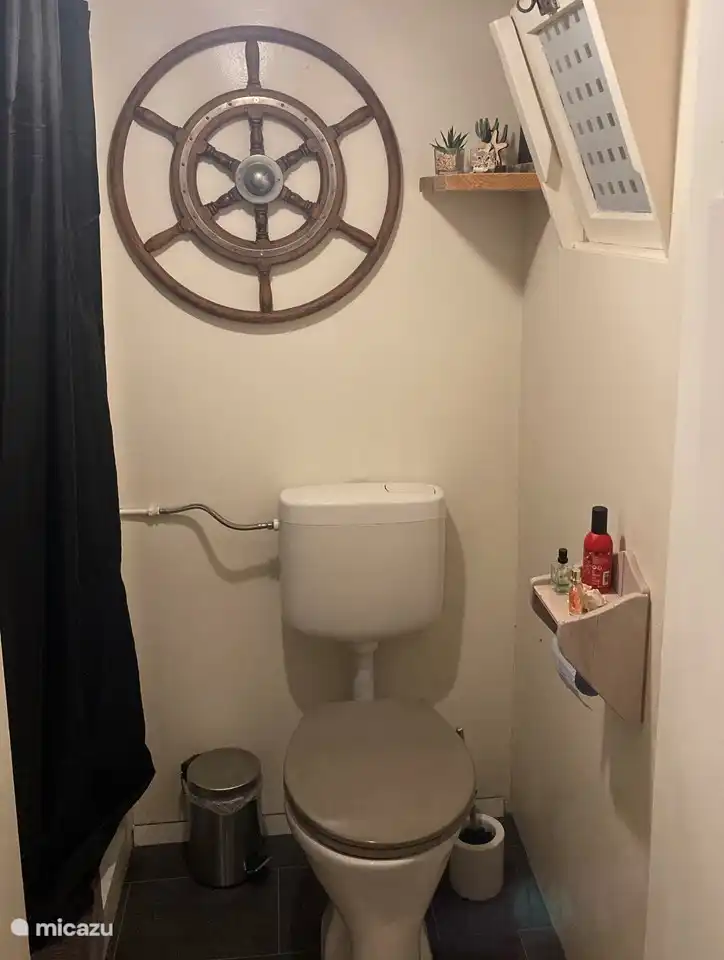 The toilet and shower.
