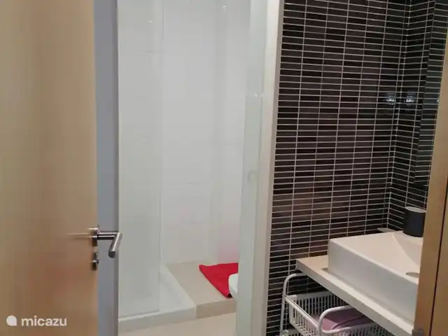El Sueño huren in Spanje, Costa Dorada, La Ràpita - appartement Badkamer met afsluitbaar deel van de douche en toilet