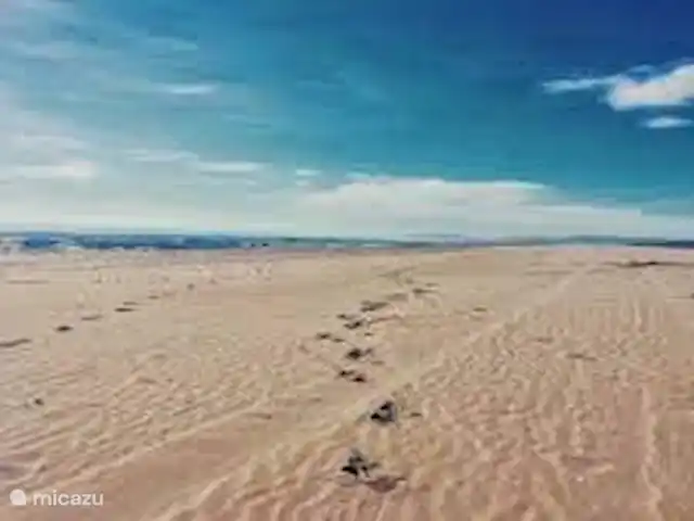 El Sueño huren in Spanje, Costa Dorada, La Ràpita - appartement strand eucalyphus