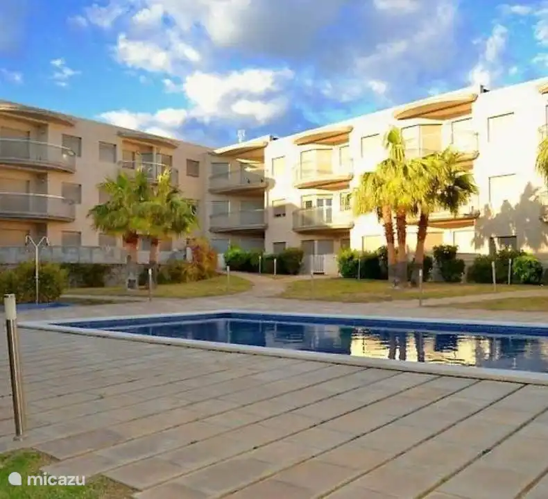 The swimming pool and courtyard