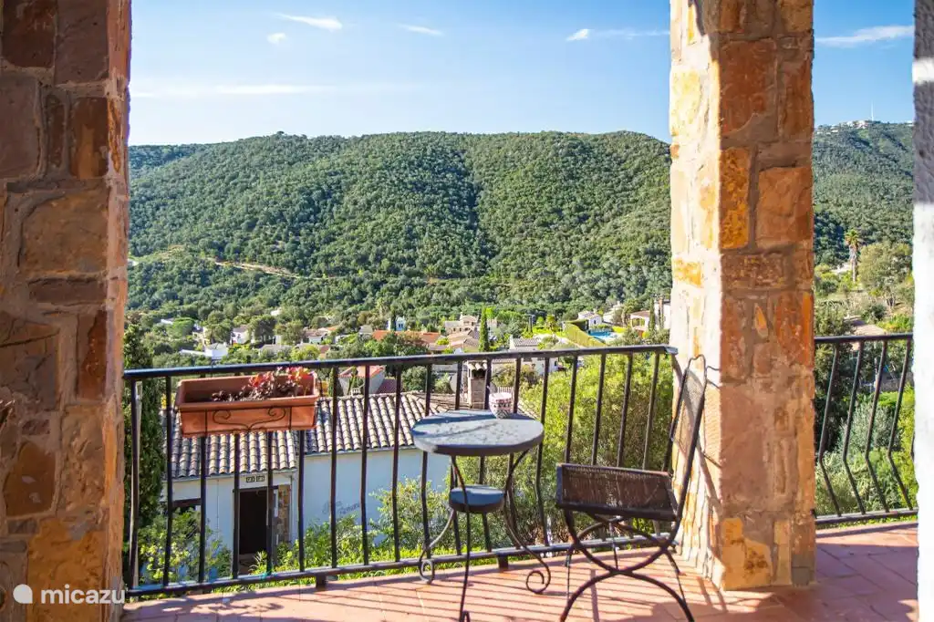 Upper terrace with forest view