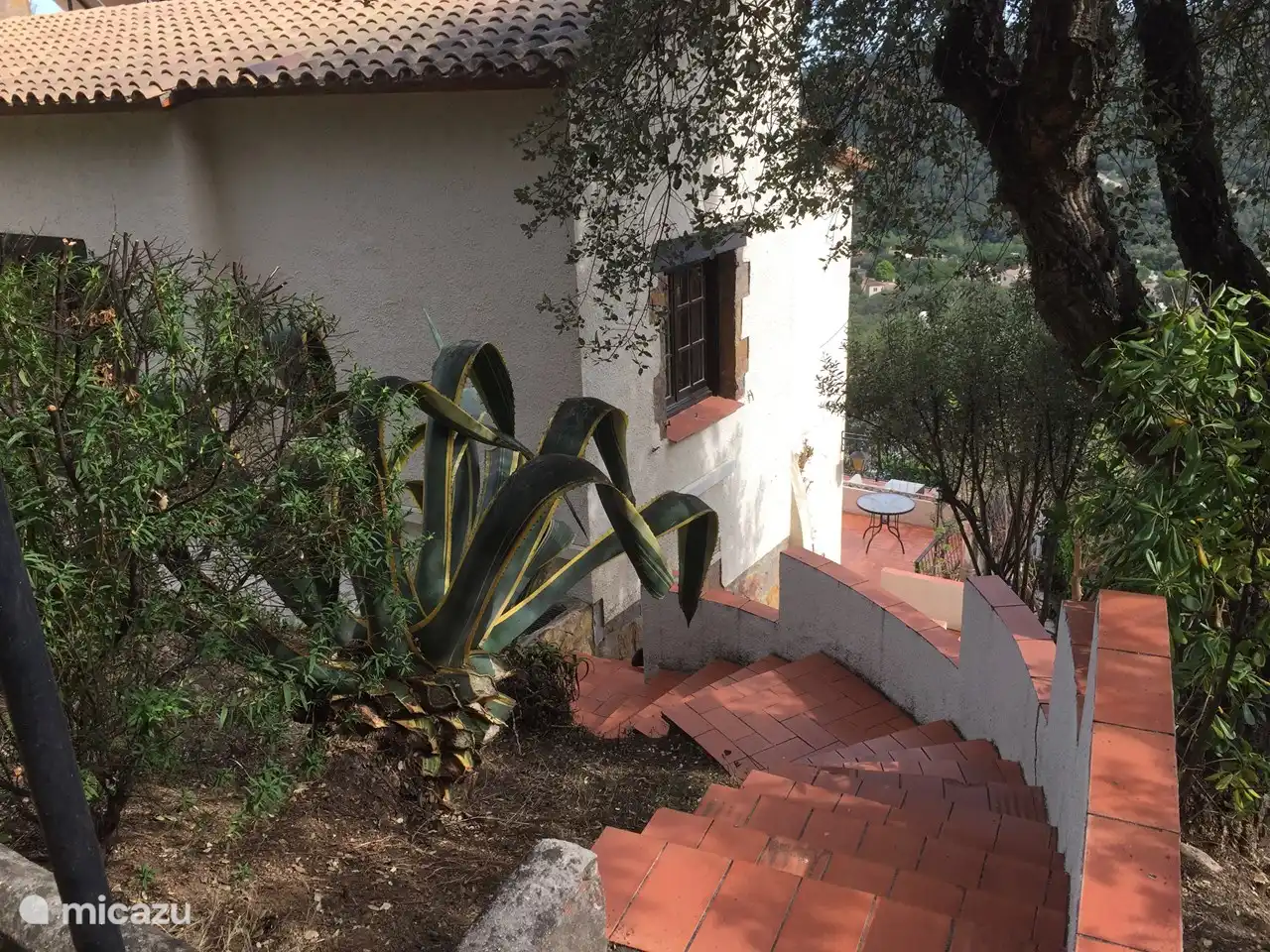 Stairs to the garden and boules court