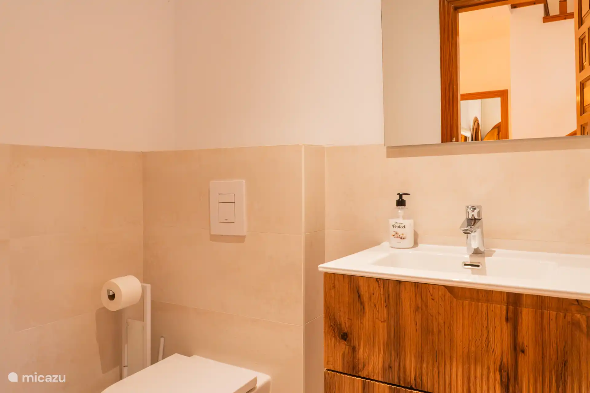 Guest toilet