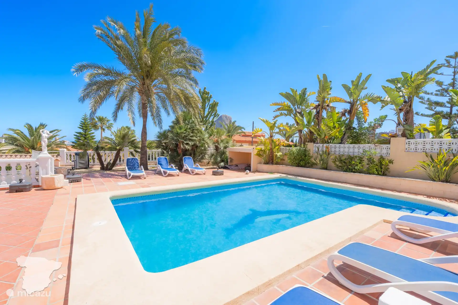 Schwimmbad mit Terrasse