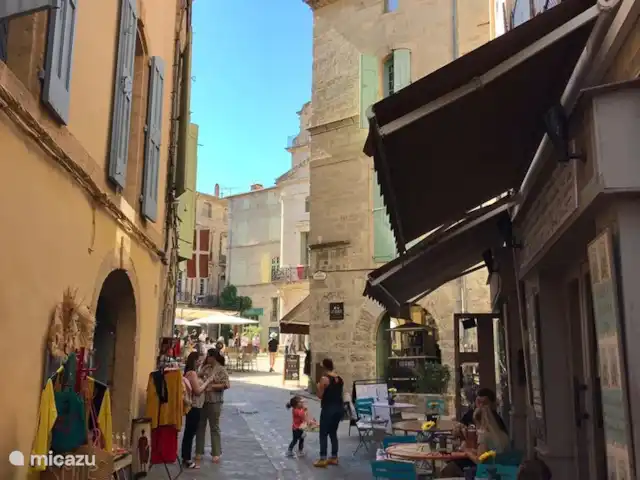 villa huren in Frankrijk, Hérault, La Tour-sur-Orb – Les Deux Mûriers Pézenas