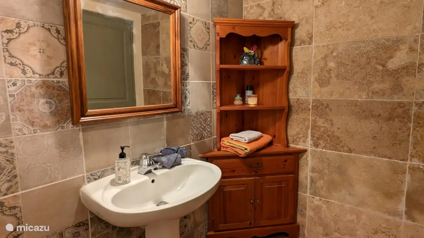 Badezimmer. Begehbare Dusche, Waschbecken und Toilette