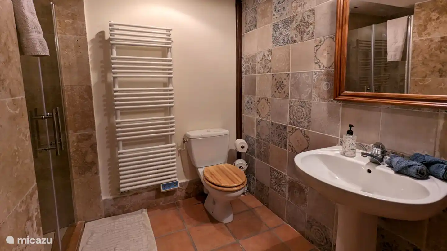 Badezimmer. Begehbare Dusche, Waschbecken und Toilette