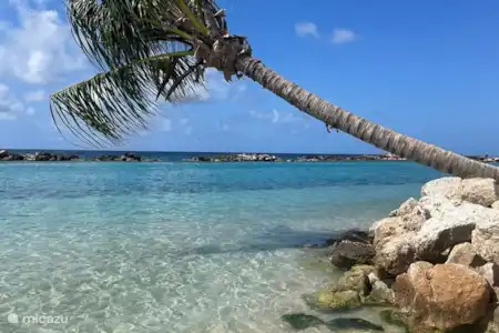 Curaçao bruist van de afwisseling