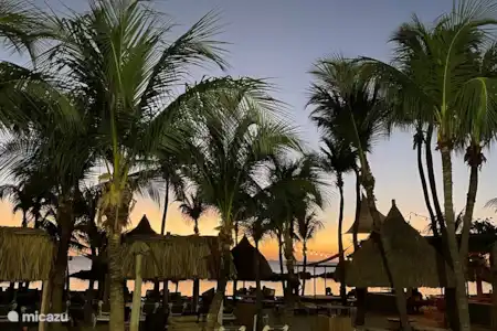 Curaçao bruist van de afwisseling