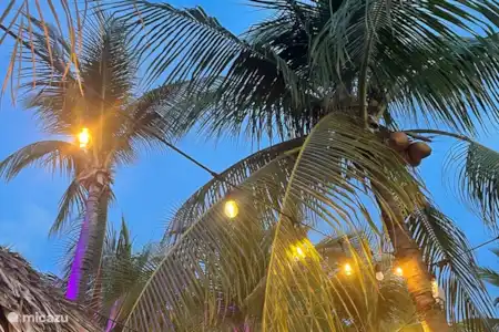 Curaçao bruist van de afwisseling