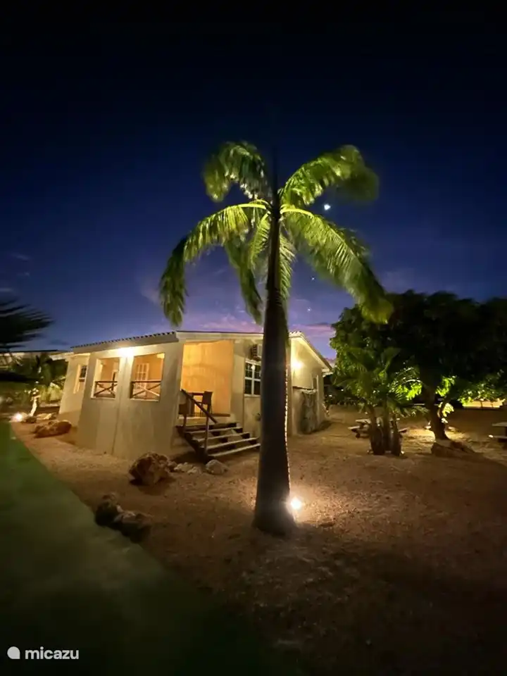 Karibischer Sternenhimmel. 