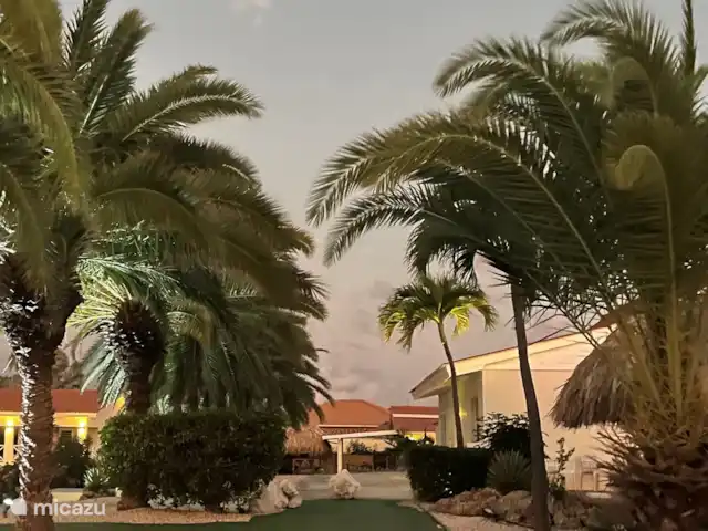 Location de Vacances Curaçao, Banda Ariba (est), Santa Catharina, bungalow - Casa Pura Vida Chemin d’accès à la piscine, à 40 mètres de la maison. Santa Catharina Resort est attrayant et bien entretenu avec des plantes tropicales.