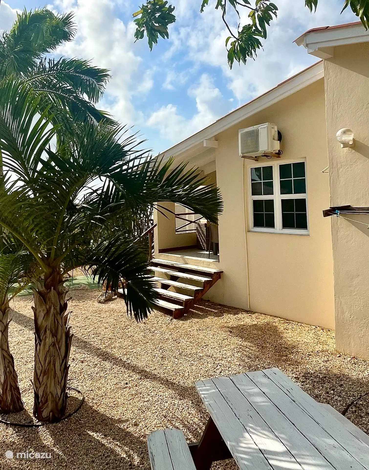 Der Garten mit einem Picknicktisch unter dem Mangobaum