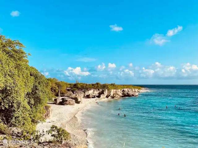 Location de Vacances Curaçao, Banda Ariba (est), Santa Catharina, bungalow - Casa Pura Vida Baie du directeur. Une plage tranquille et un spot de plongée en apnée populaire. À environ quinze minutes en voiture de la station.