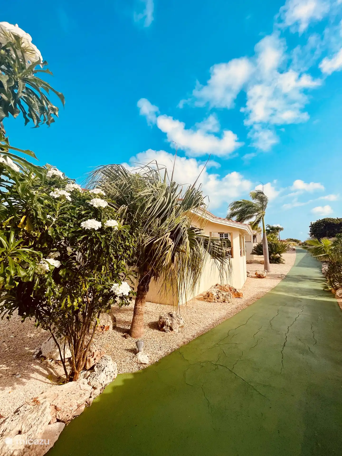 Rückseite des Hauses. 