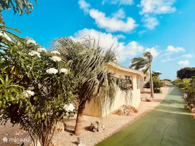 Location de Vacances Curaçao, Banda Ariba (est), Santa Catharina, bungalow - Casa Pura Vida Arrière de la maison.