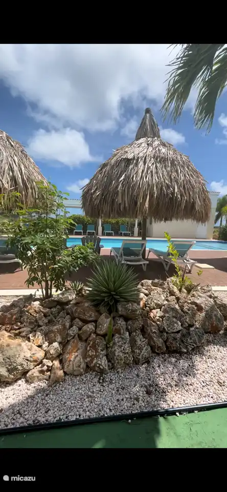 Gemeinschaftspool mit Meerblick, Palapas und Baldachin.