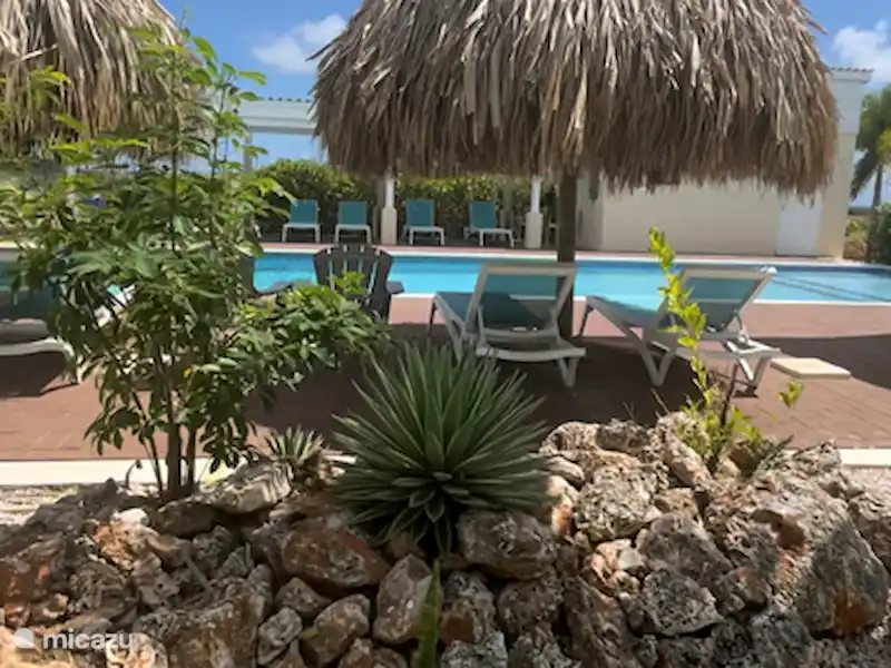 Casa Pura Vida huren in Curaçao, Banda Ariba (oost), Santa Catharina - Bungalow Casa Pura Vida huren in Curaçao, Banda Ariba (oost), Santa Catharina - Bungalow
