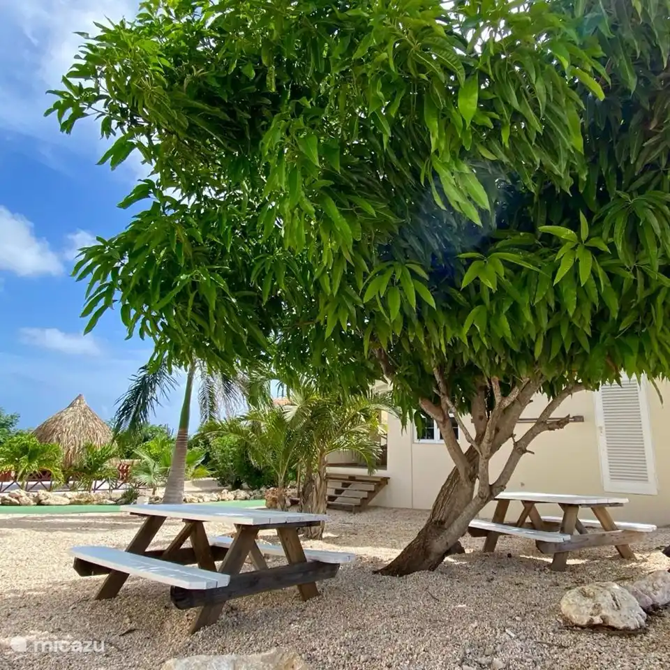 Genießen Sie den Garten im Schatten des Mangobaums 