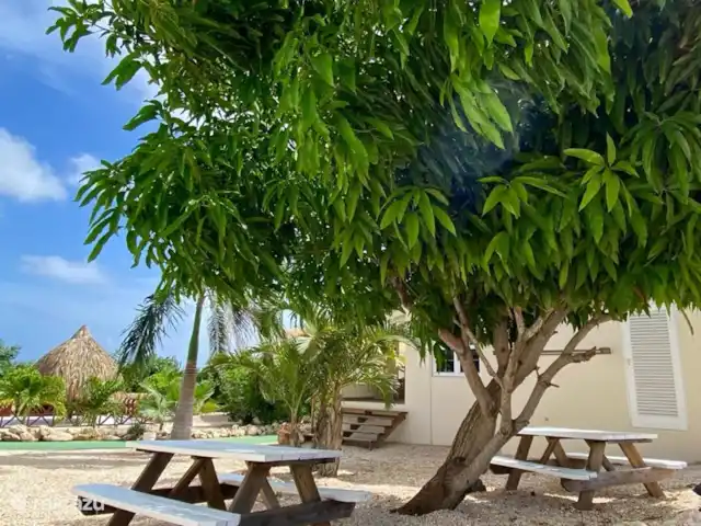Location de Vacances Curaçao, Banda Ariba (est), Santa Catharina, bungalow - Casa Pura Vida Profitez du jardin à l'ombre du manguier
