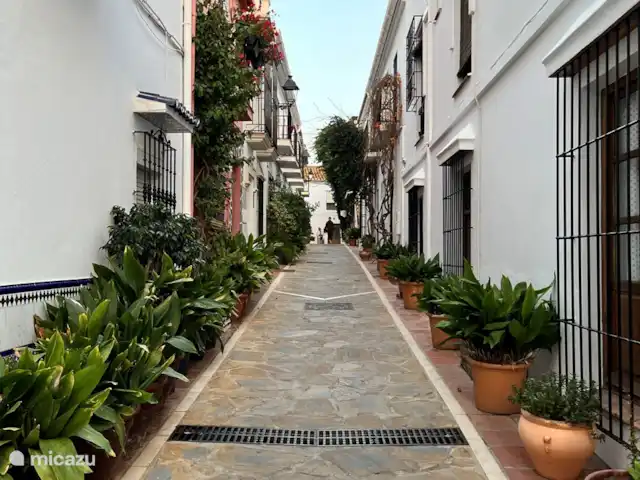 Casa Villares huren in Spanje, Costa del Sol, Marbella - geschakelde woning Marbella